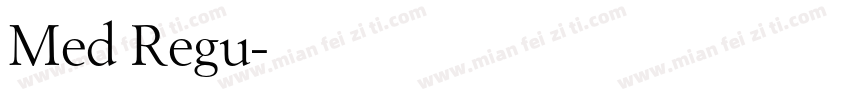 Med Regu字体转换